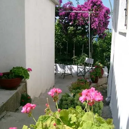 בית הארחה Angelina's House